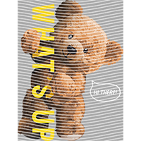 Brand Catalog-ZX 743